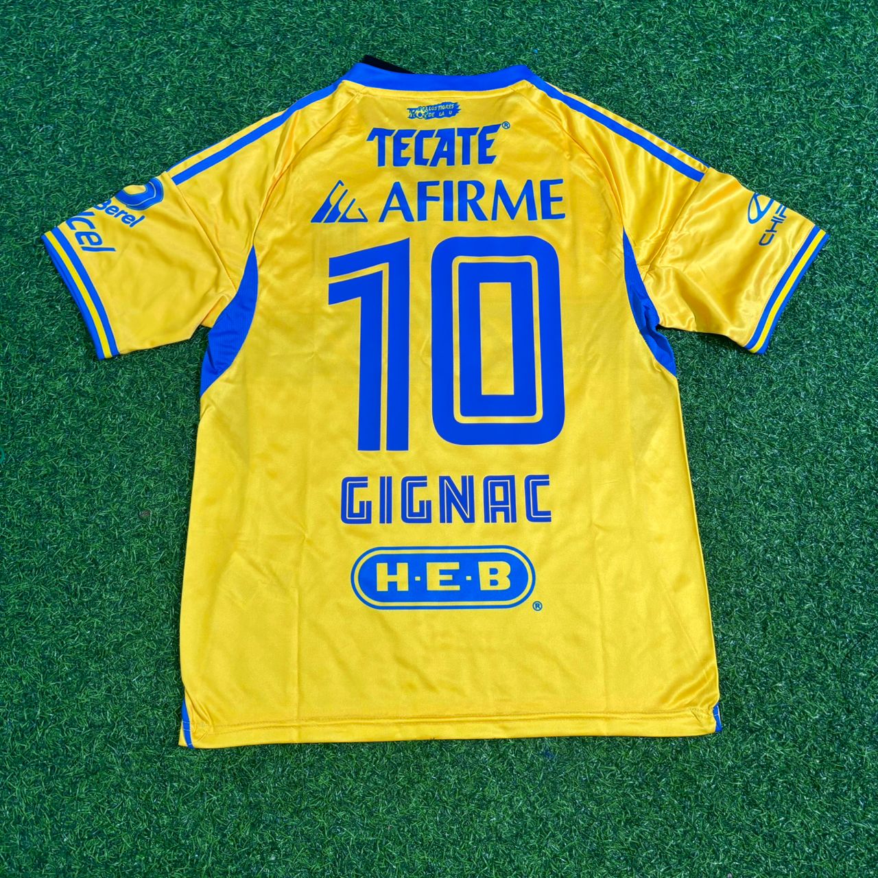 andre-pierre-gignac-tigres-