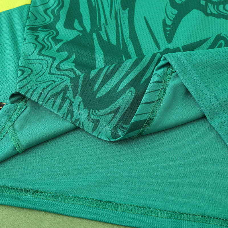 Senegal 2025/2026 Season Kit Jersey