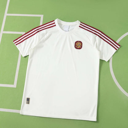 Spain 2026 World Cup Training shirt Fan version