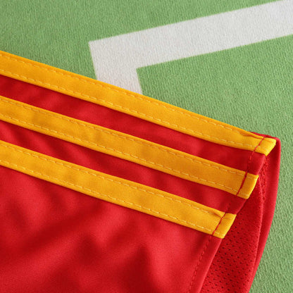 Spain EURO 2008 Retro Football Jersey