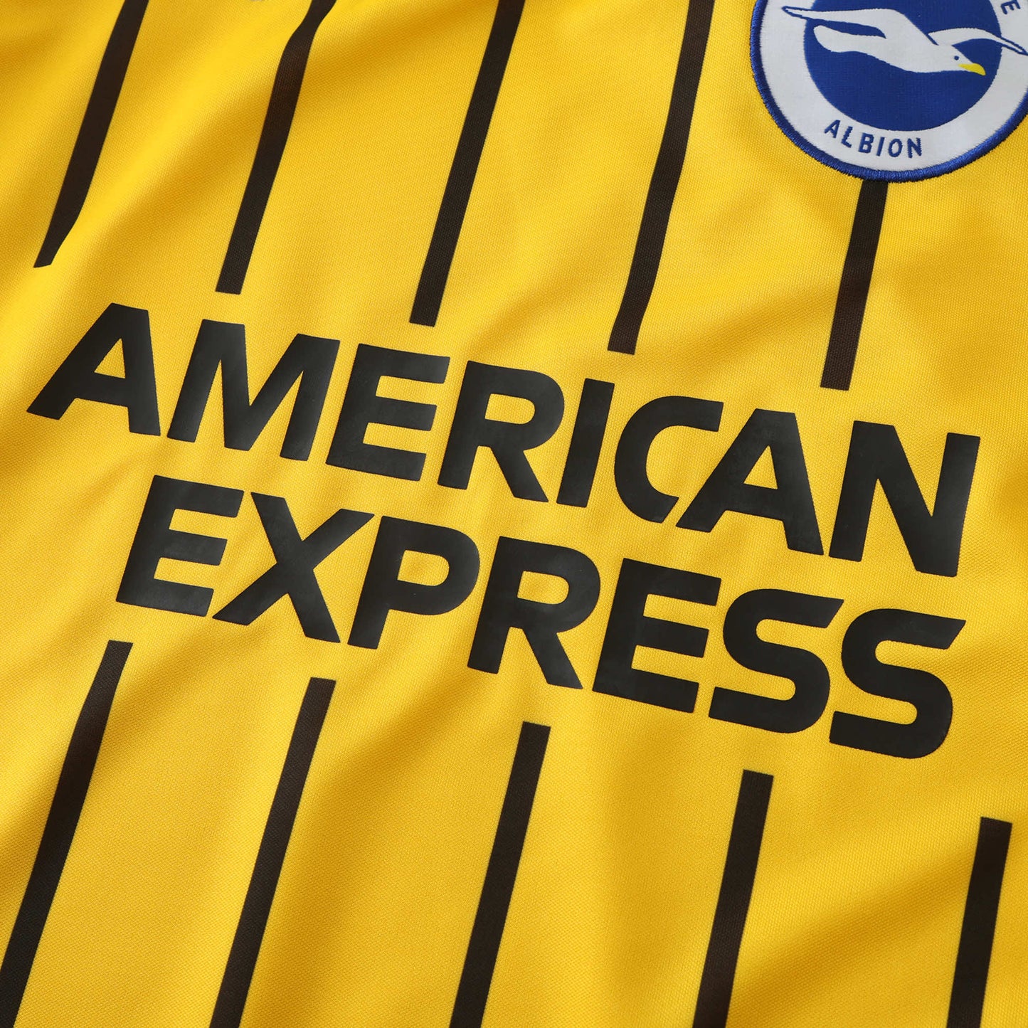 24/25 Brighton Hove Albion Yeni Sezon Forması Maillot Trikot Maglia