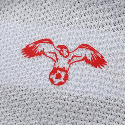 Jordan World Cup 2026 Home Football Jersey Shirt Trikot Maillot
