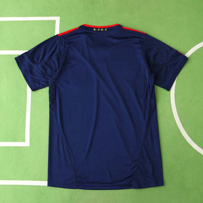 Spain 2010 World Cup Final Champions Home Retro Jersey Soccer Shirt