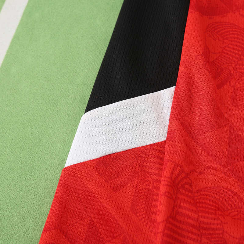 Egypt African Cup 2025 Season Kit Jersey