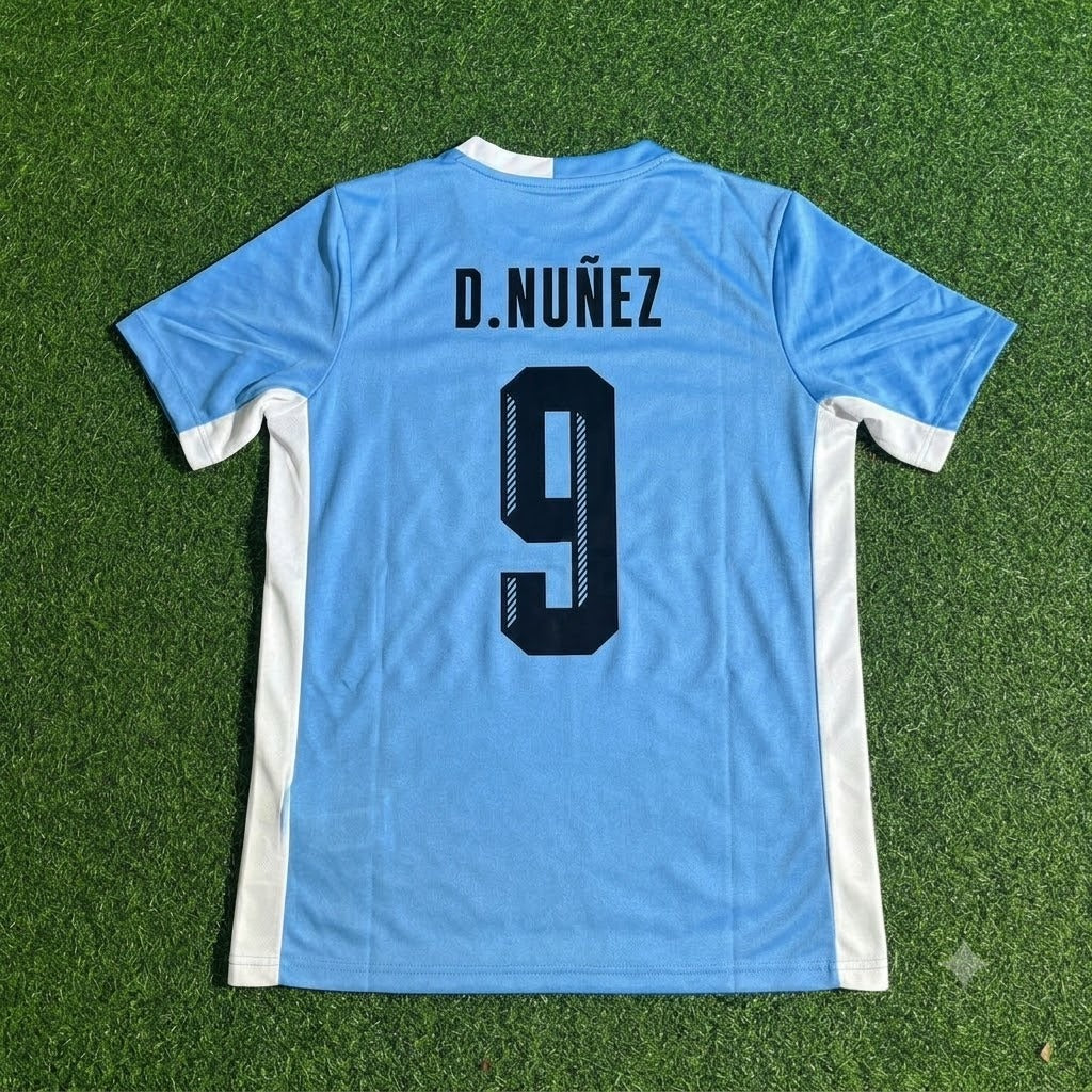 Darvin Nunez #9 Uruguay World Cup Special Edition Blue Football Jersey