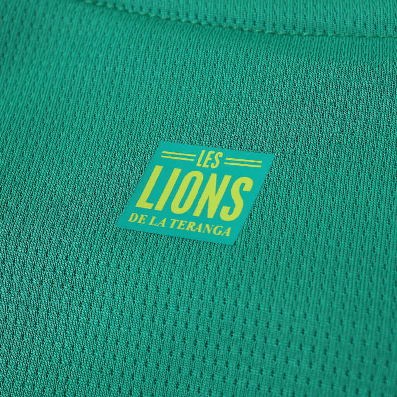 Senegal 2025/2026 Season Kit Jersey