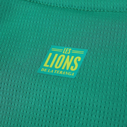 Senegal 2025/2026 Season Kit Jersey