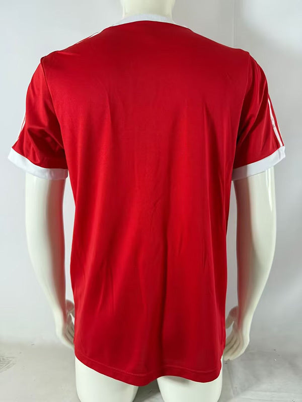 Hamburger SV 1974/75 Saison Auswärts Trikot
