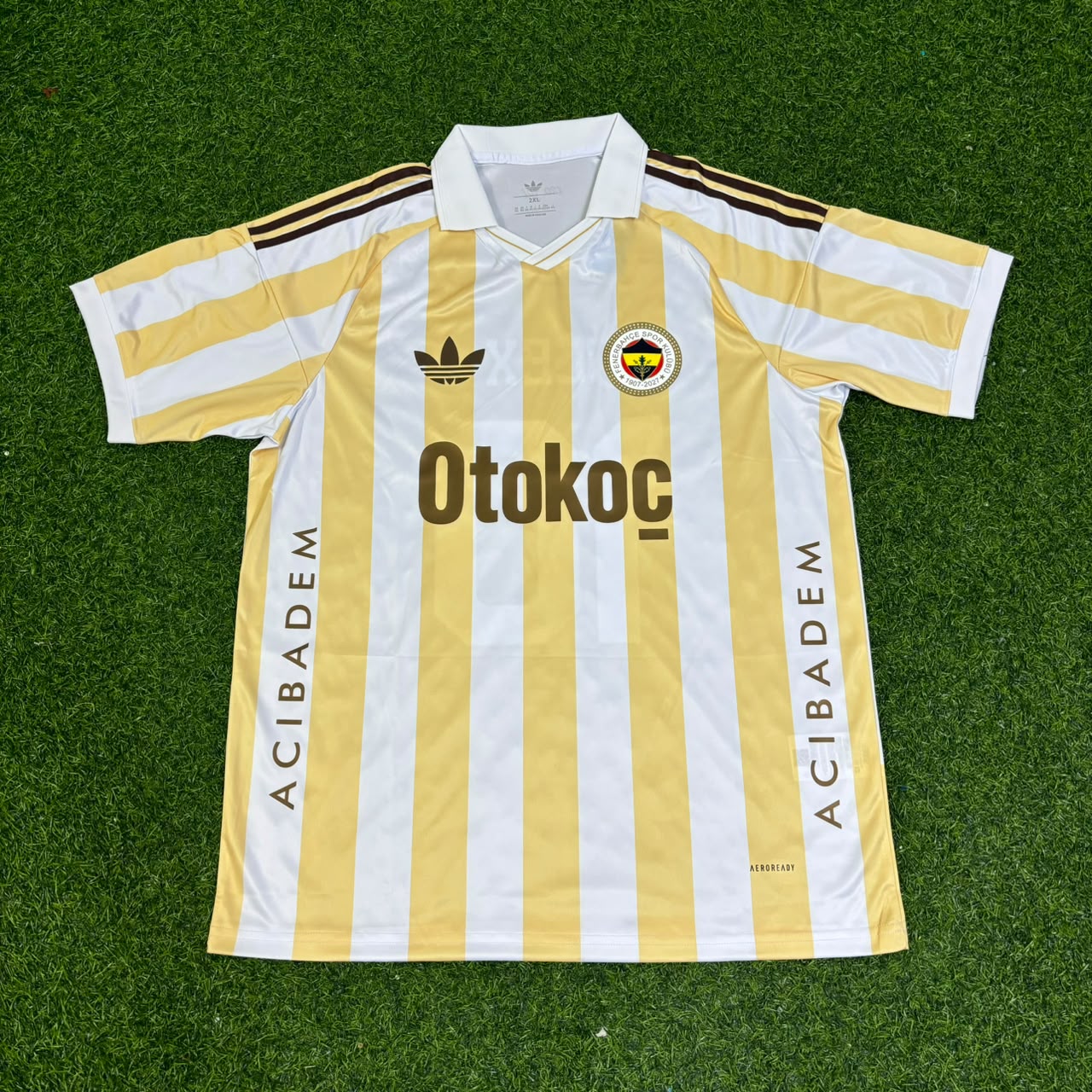 Alex de Souza #10 Fenerbahçe Special Football Jersey Kit