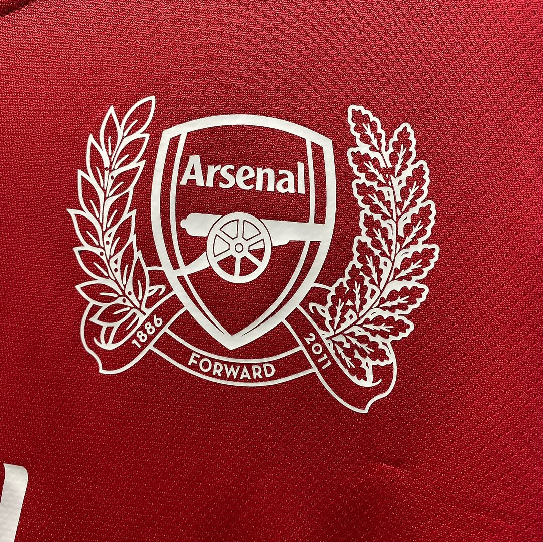 Arsenal 2010-2011 Andrey Arshavin Retro Kit Jersey Trikot Maglia