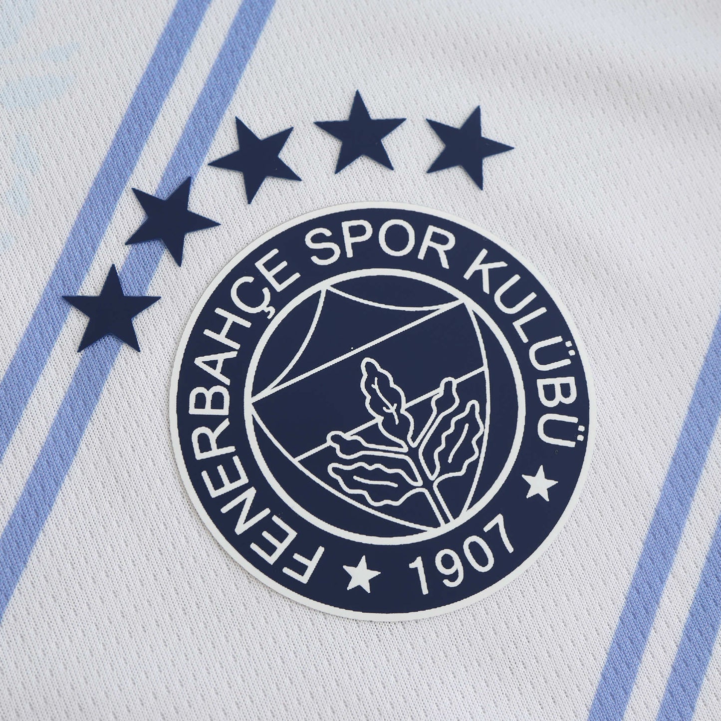 Fenerbahce 2024 2025 İç Saha Forması Fenerbahce 2025 triko