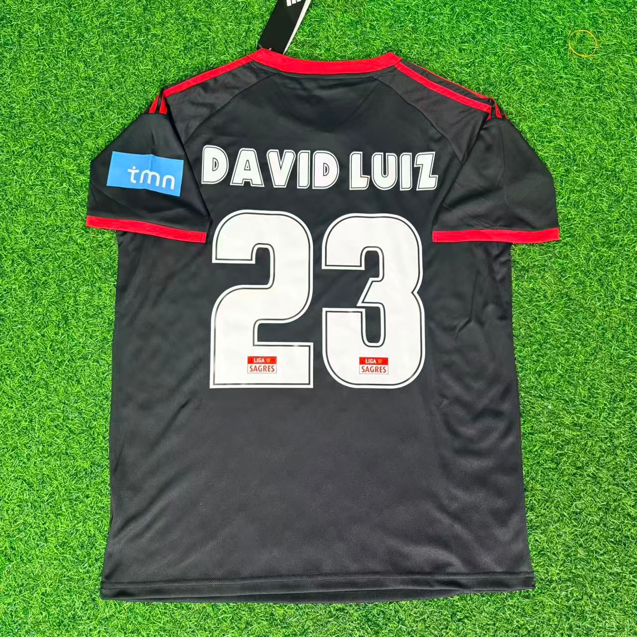 david-luiz-23-benfica-2009-