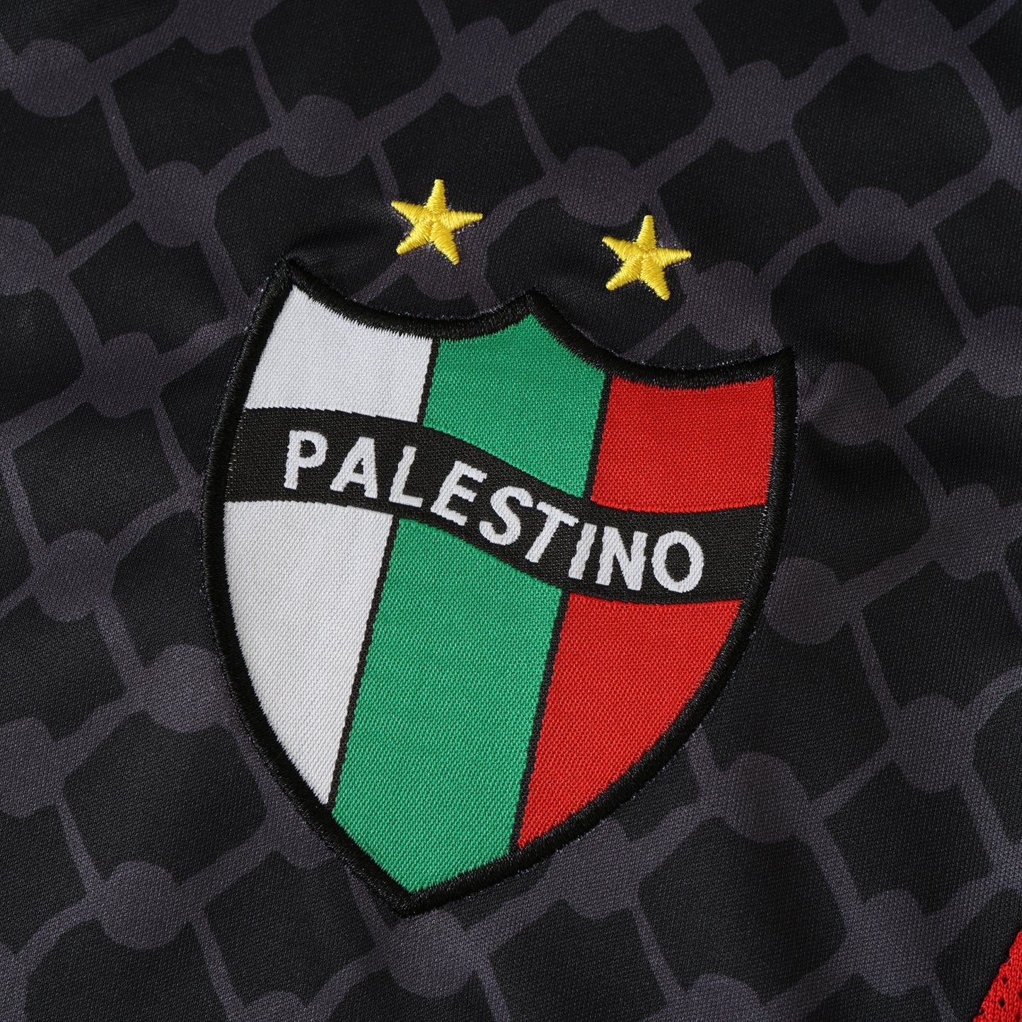 2425 Season Palestino Away Football Jersey Maillot Trikot Maglia