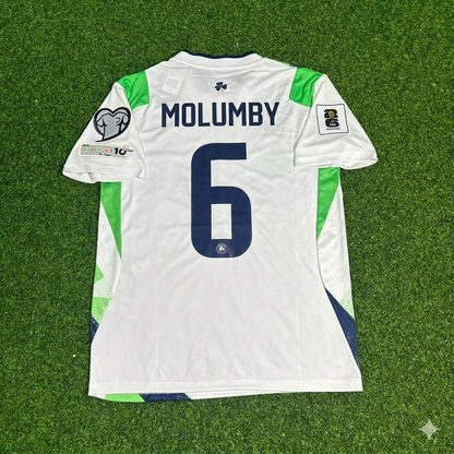 Jayson Molumby #6 Ireland 2026 World Cup Qualifiers Green White New Season Football Jersey