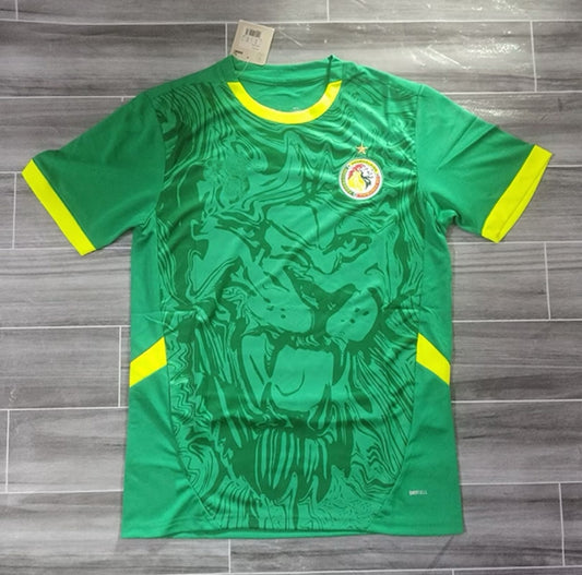 Senegal 2024/2025 Season Kit Jersey