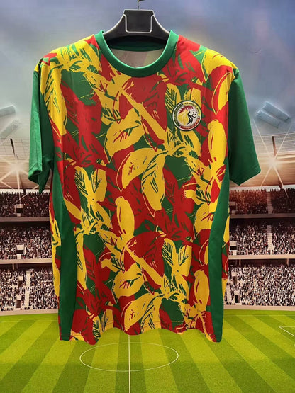 Senegal 2025/2026 Season Kit Jersey